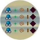 Larger particles like sediment, dirt, rust and other solid impurities with a diameter 0.05mm or higher are removed by the first 5-micron PP filter of AqueenaPro.