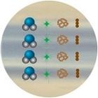 The second, Pellet filter absorbs free chlorine, organic matter, odours, discolouration and other substances from the water.
