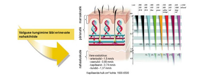 BIOPTRON Light has biostimulative effects: when applied to the skin it stimulates light-sensitive intracellular structures and molecules